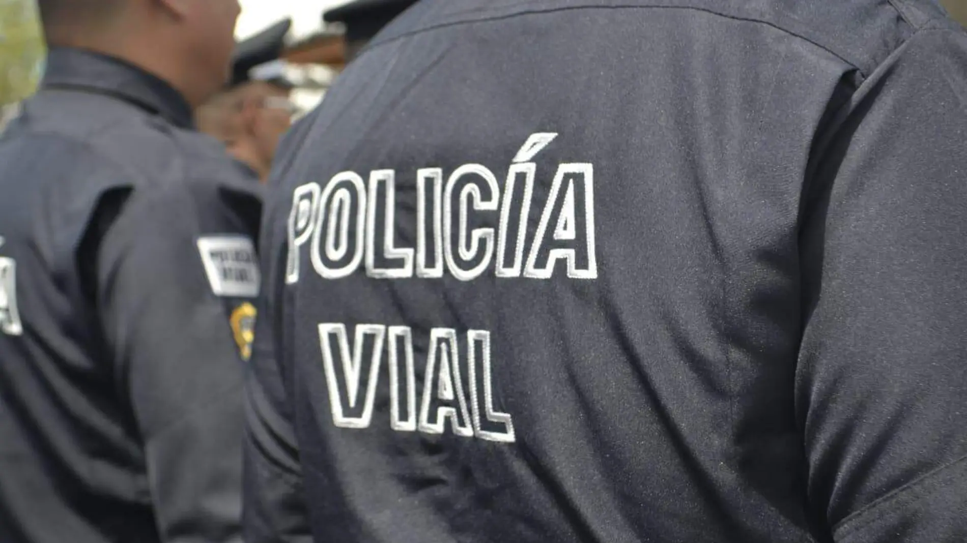 Policia vial